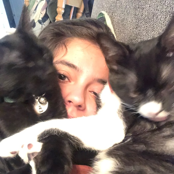 Meet your Posher, Lexi - Picture 2 of 13